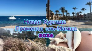 Египет Хургада Туристический Праменад Эль Мамша сокровища красного моря на диком пляже Порт марина