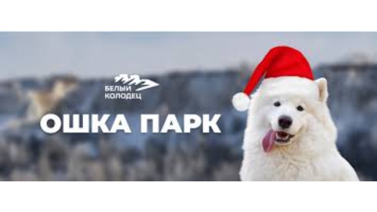 Контактный парк ОШКА. Собачки смотреть онлайн