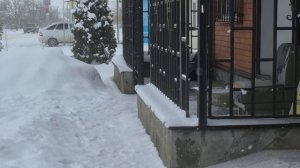 ПОШЛА ГУЛЯТЬ 🤣🥰ПОГОДА СУПЕР