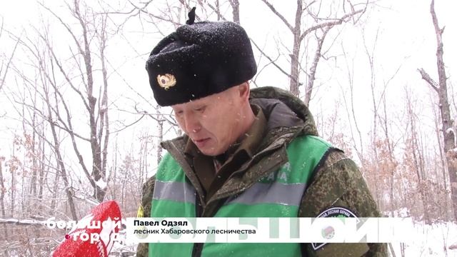 ПО СЛЕДАМ «ЧЁРНЫХ ЛЕСОРУБОВ». Большой город 20/01/2026 смотреть онлайн
