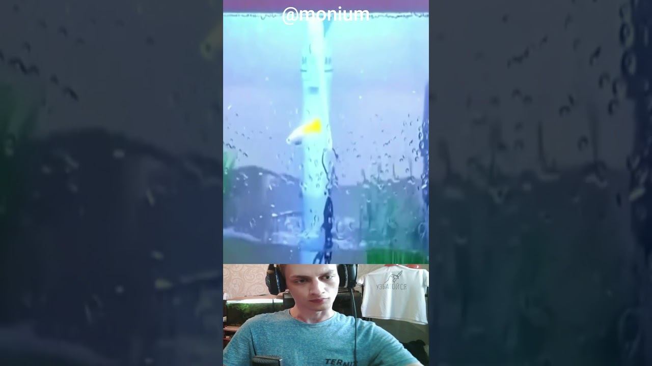 Divine Fish смотреть онлайн