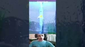 Divine Fish