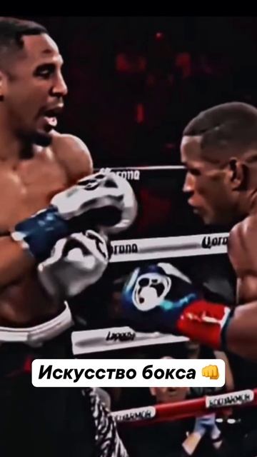 Бокс завораживает 🙌 смотреть онлайн