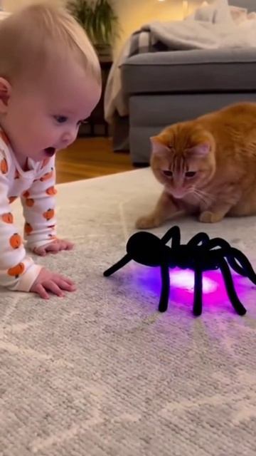 Малыш, кот и игрушка смотреть онлайн