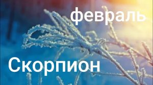 Таро расклад для Скорпионов на февраль 2026 года