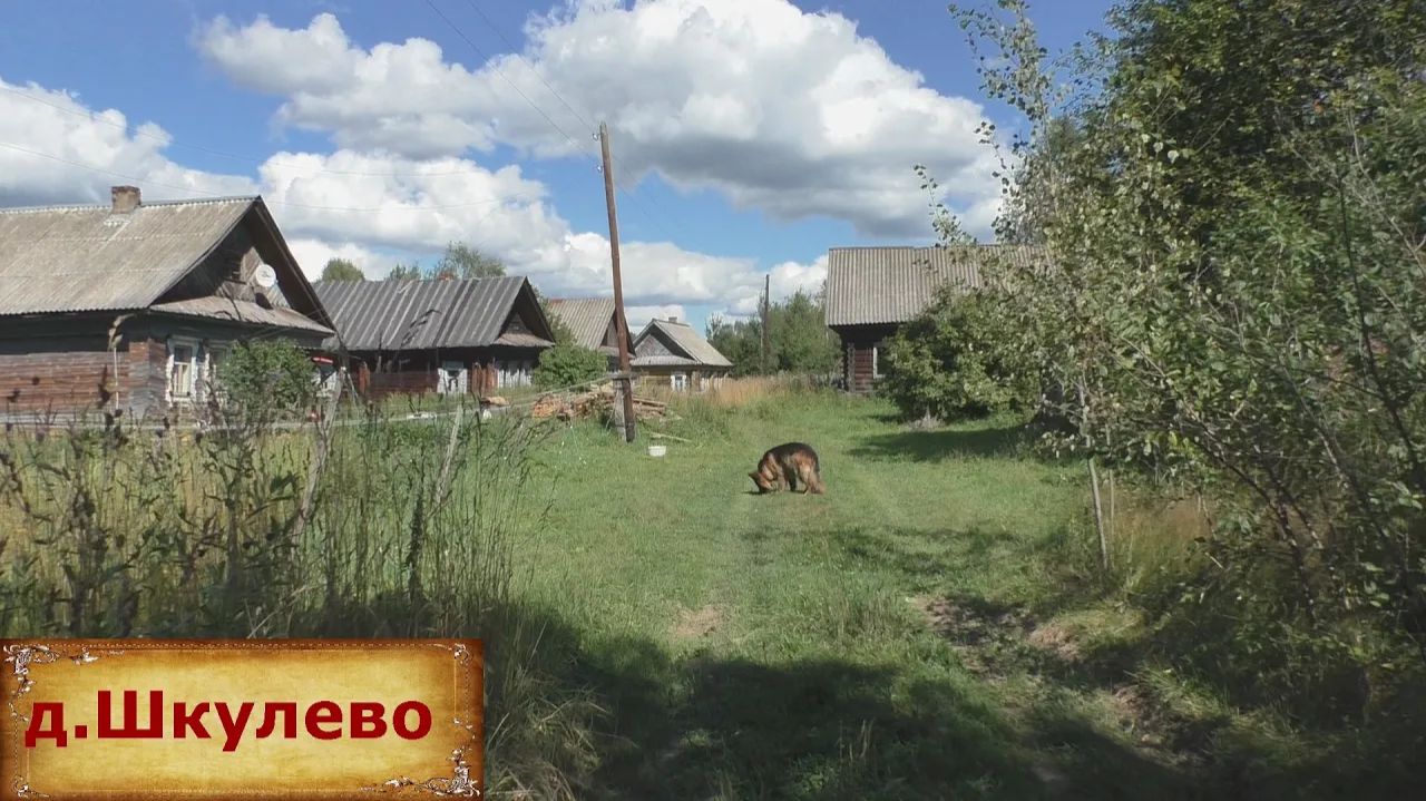 Затерянная деревня в лесу. Нежилая деревня на севере области. Кто-то живет в деревне? смотреть онлайн