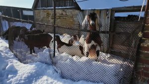 Не получается, а надо! Грех жаловаться