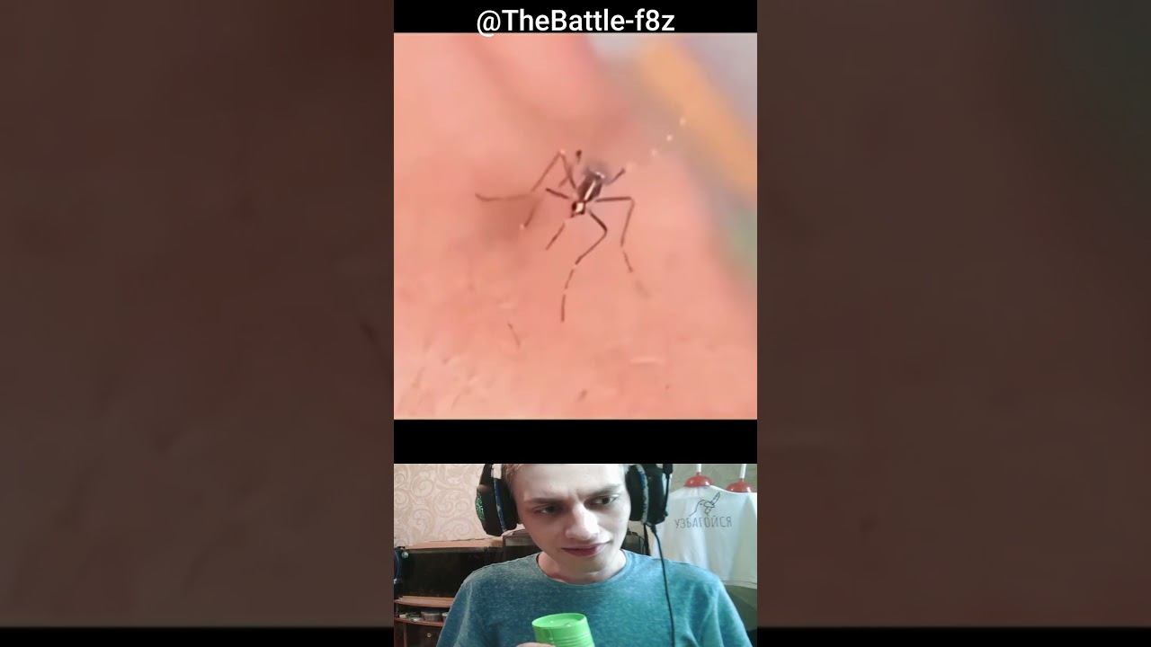 Funny Video Collection 1 смотреть онлайн