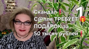 Скандал❗С@пля ТРЕБУЕТ 🎁ПОДАРОК за 50 тысяч рублей❗