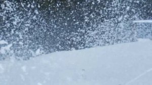 ВСЕМ ХОРОШЕГО НАСТРОЕНИЯ