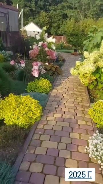 Спустя 5 лет.Было-Стало #любимаядача💚 смотреть онлайн