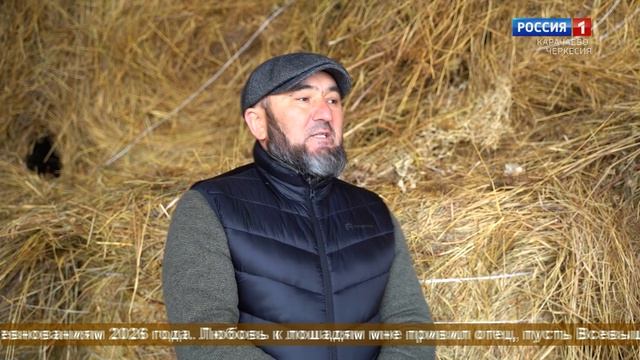 "Ногаец без лошади - что птица без крыльев" (на ногайском языке) смотреть онлайн