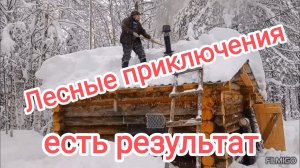 Лесные приключения. Есть результат.