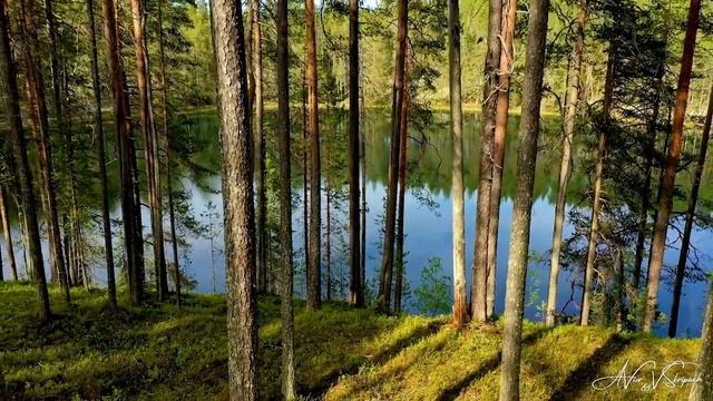 Озеро Лесного Короля. Часть 6 Люди и нелюди.