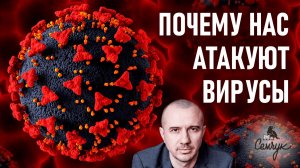 Почему нас атакуют вирусы. Феноменальная психосоматика
