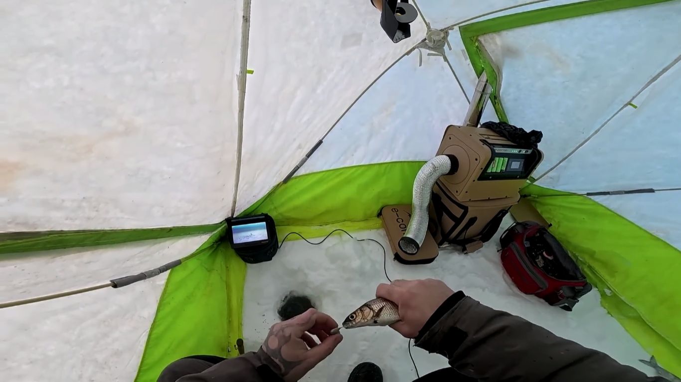 Повторим рыбалку на сига. смотреть онлайн