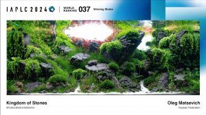 Акваскейп «Королевство камней» техническая сторона