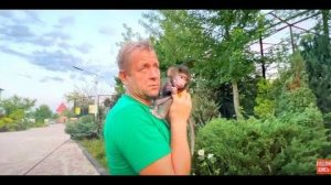 Ангелина и Люся встретили Олега Зубкова! Что бывает, если вовремя не спасти гамадрилёныша?