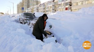 Чистим снег всем двором! Доброе утро. Фрагмент выпуска от 20.01.2026
