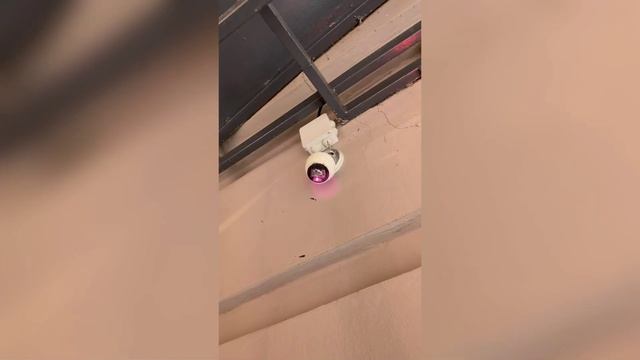 Выпуск Место Происшествия Киров 12.01.26 Первый городской канал смотреть онлайн