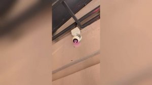 Выпуск Место Происшествия Киров 12.01.26 Первый городской канал