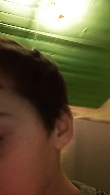 Чтобы узнать: "Когда же разблокируют ROBLOX?" нужно... смотреть онлайн