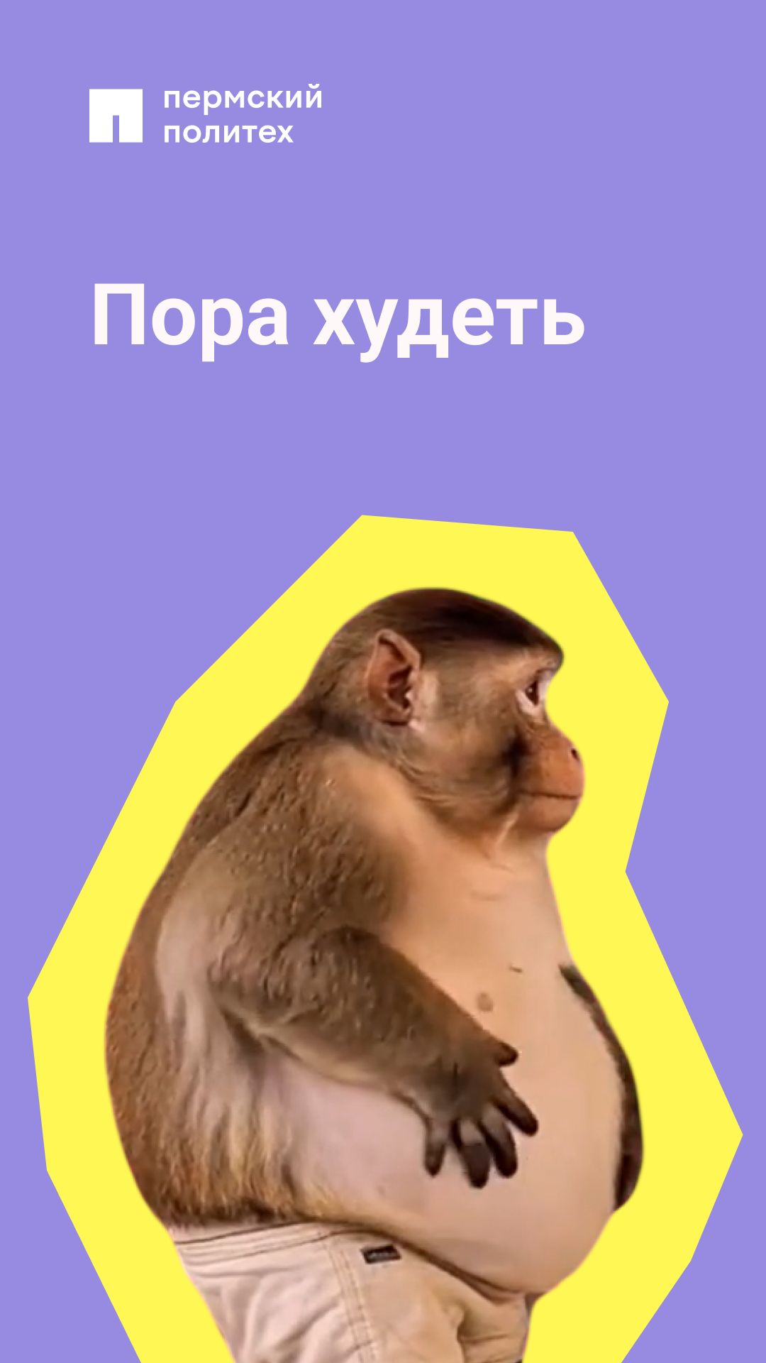 Новый год, новый я смотреть онлайн