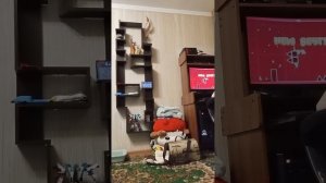 Wave,wave и ещё раз wave.(Geometry dash)