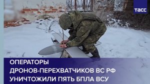 Операторы дронов-перехватчиков ВС РФ уничтожили пять БПЛА ВСУ в Запорожье