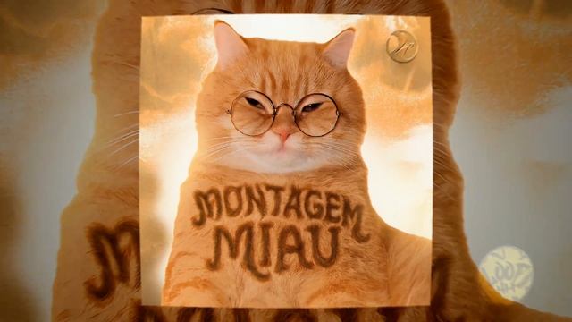 MONTAGEM MIAU смотреть онлайн