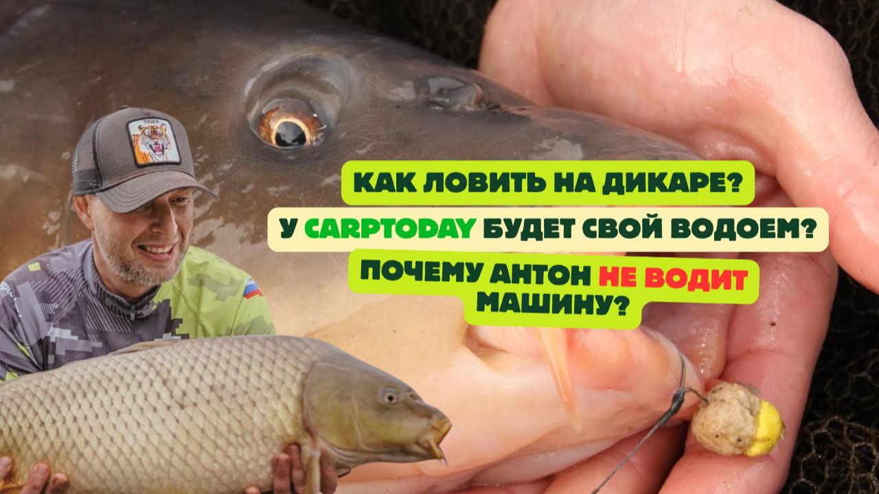 КАРПФИШИНГ: ОТВЕТЫ на ВОПРОСЫ с практическими примерами | Выпуск # 1 смотреть онлайн