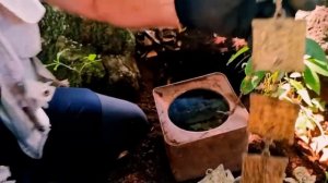 5 Главных соревнований в 2021 году ,