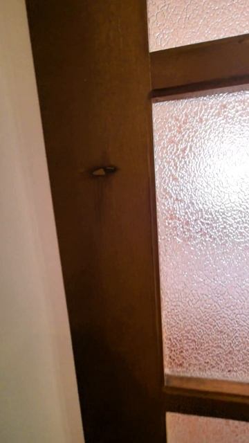 lv_0_20260120213907.mp4