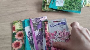 Купила семена, на стратификацию и так. В этом году ударяю по многолетникам 🌿