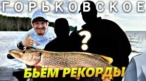 Бьём рекорды на Горьковском вдхр. Финальная рыбалка с гостями летом 2025-го