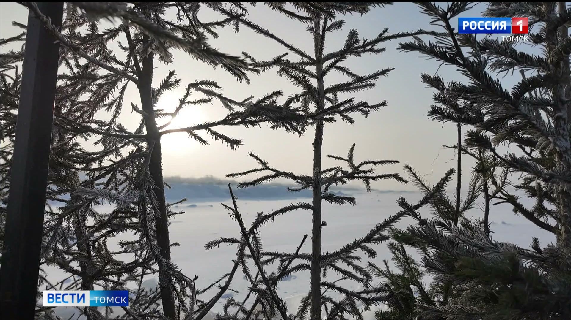 Вести-Томск, выпуск от 19.01.2026 21:10 смотреть онлайн