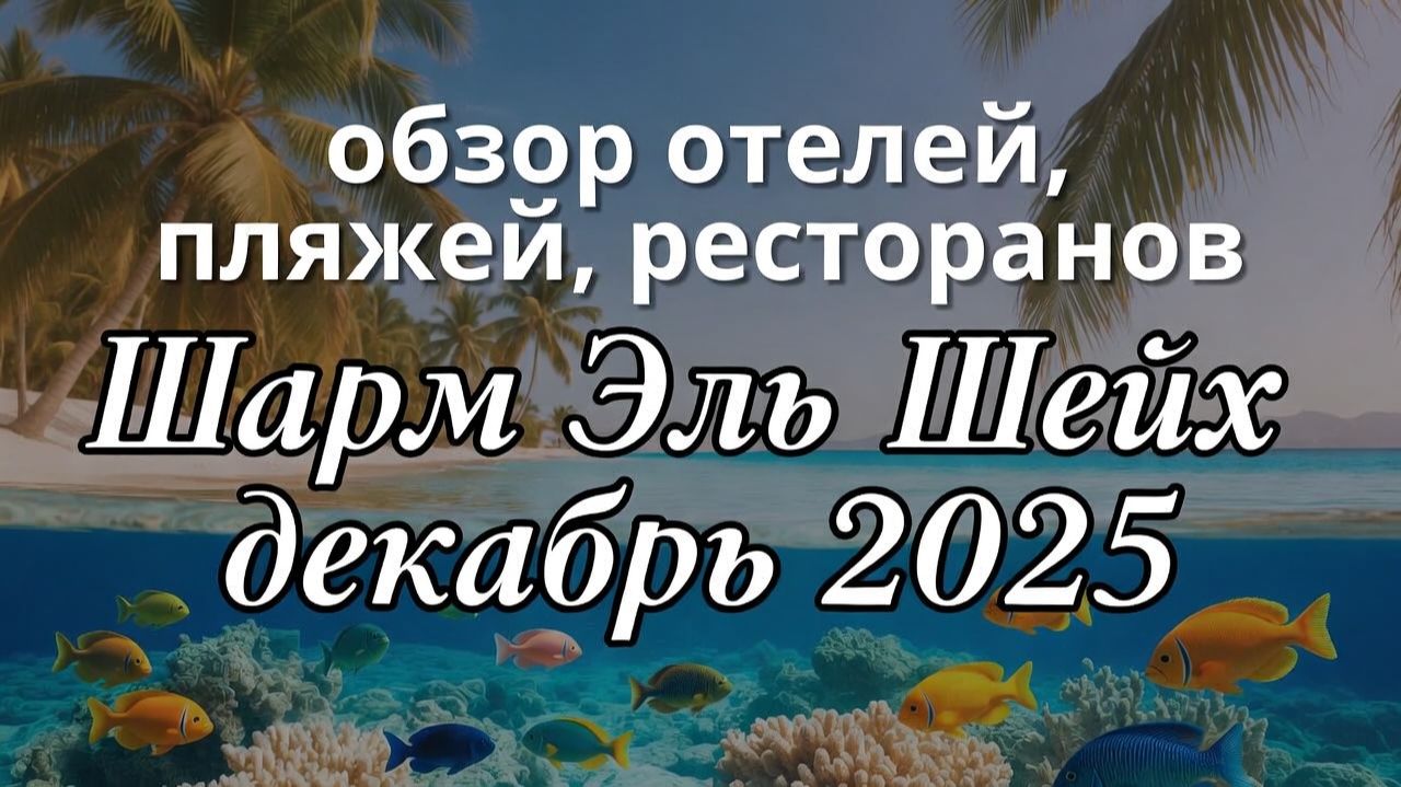 Шарм эль шейх. Декабрь 2025. Обзор отелей, пляжей, ресторанов.