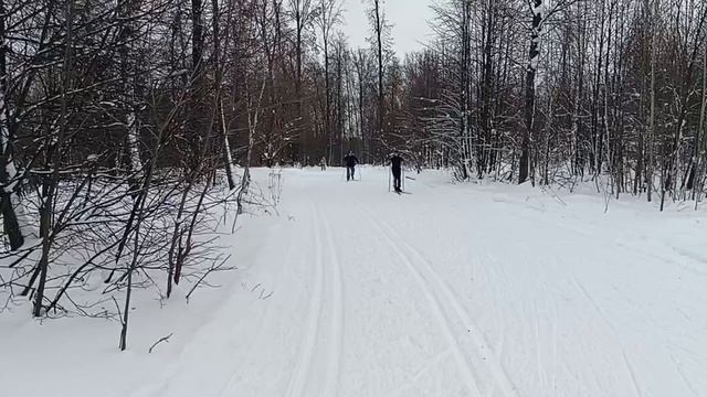 Лыжная база Барс