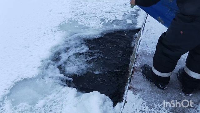 20.01.26. Зарыбление VIP зоны форелью. смотреть онлайн