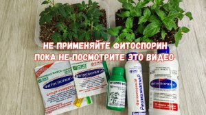 МАЛО КТО ЗНАЕТ ЧТО ТОЛЬКО ТАКИМ СПОСОБОМ ПРИМЕНЯЮТ ФИТОСПОРИН!