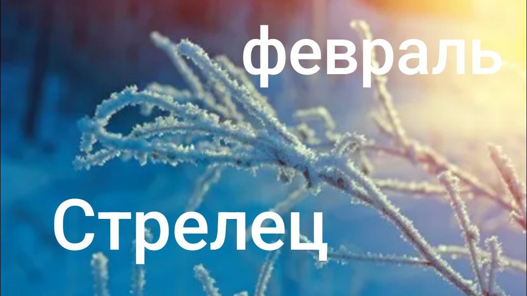 Таро расклад для Стрельцов на февраль 2026 года смотреть онлайн