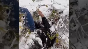 💥Хизир нежданул Асхаба Тамаева