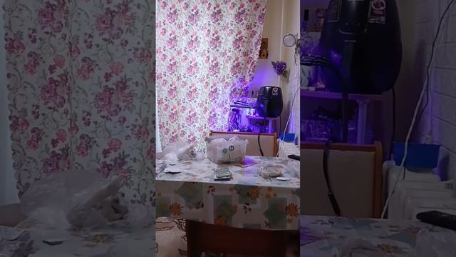 Вот пришло время рассады.