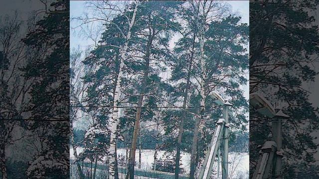 Зимняя прогулка смотреть онлайн