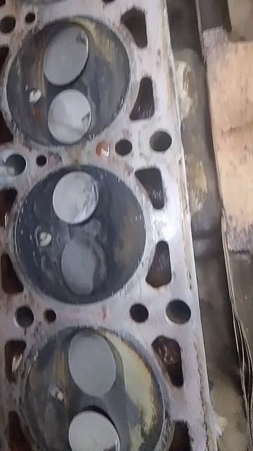 Будни СТОшника