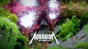 Акваскейп "Пылающие скалы" и ежегодный отчетный концерт Бати ФФ