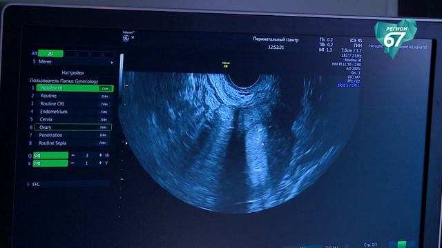 Какие программы и меры поддержки молодых и многодетных семей действуют на Смоленщине в 2026 году смотреть онлайн