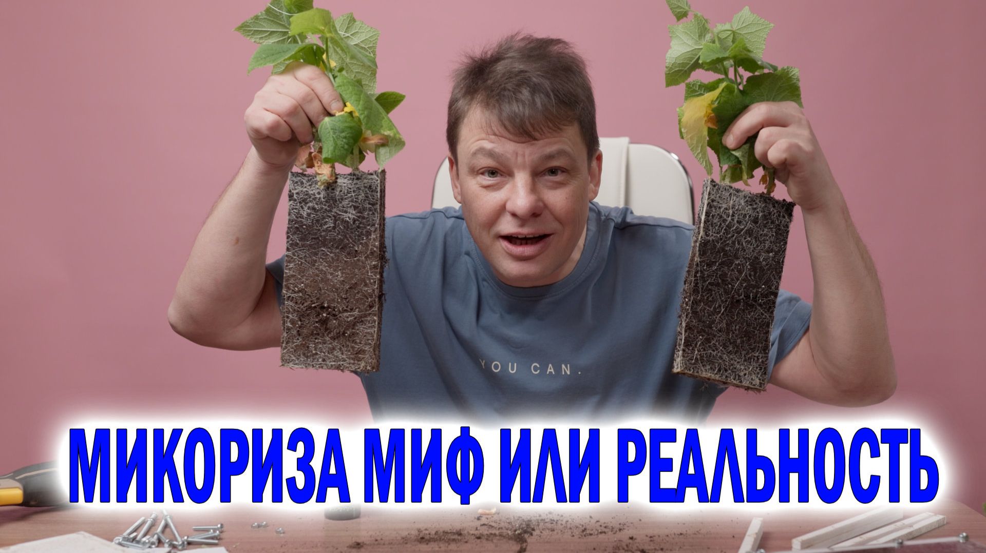 Микориза миф или реальность - как правильно использовать микоризу смотреть онлайн