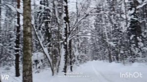 Лыжная прогулка #26 ❄️🌲❄️⛷️❄️🌲❄️
19.01.2026