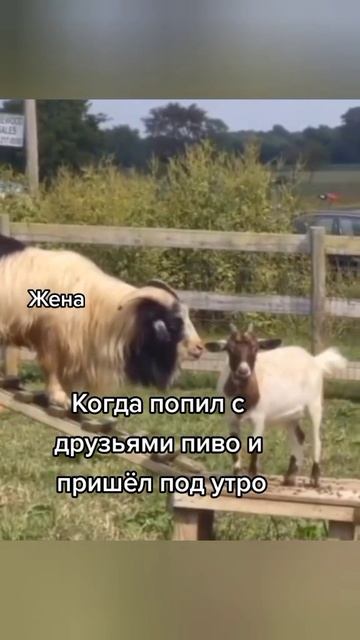 пришел домой.mp4 смотреть онлайн